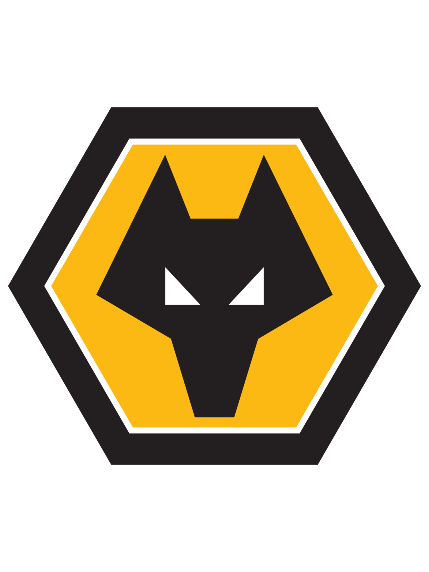 Wolverhampton Wanderers FC