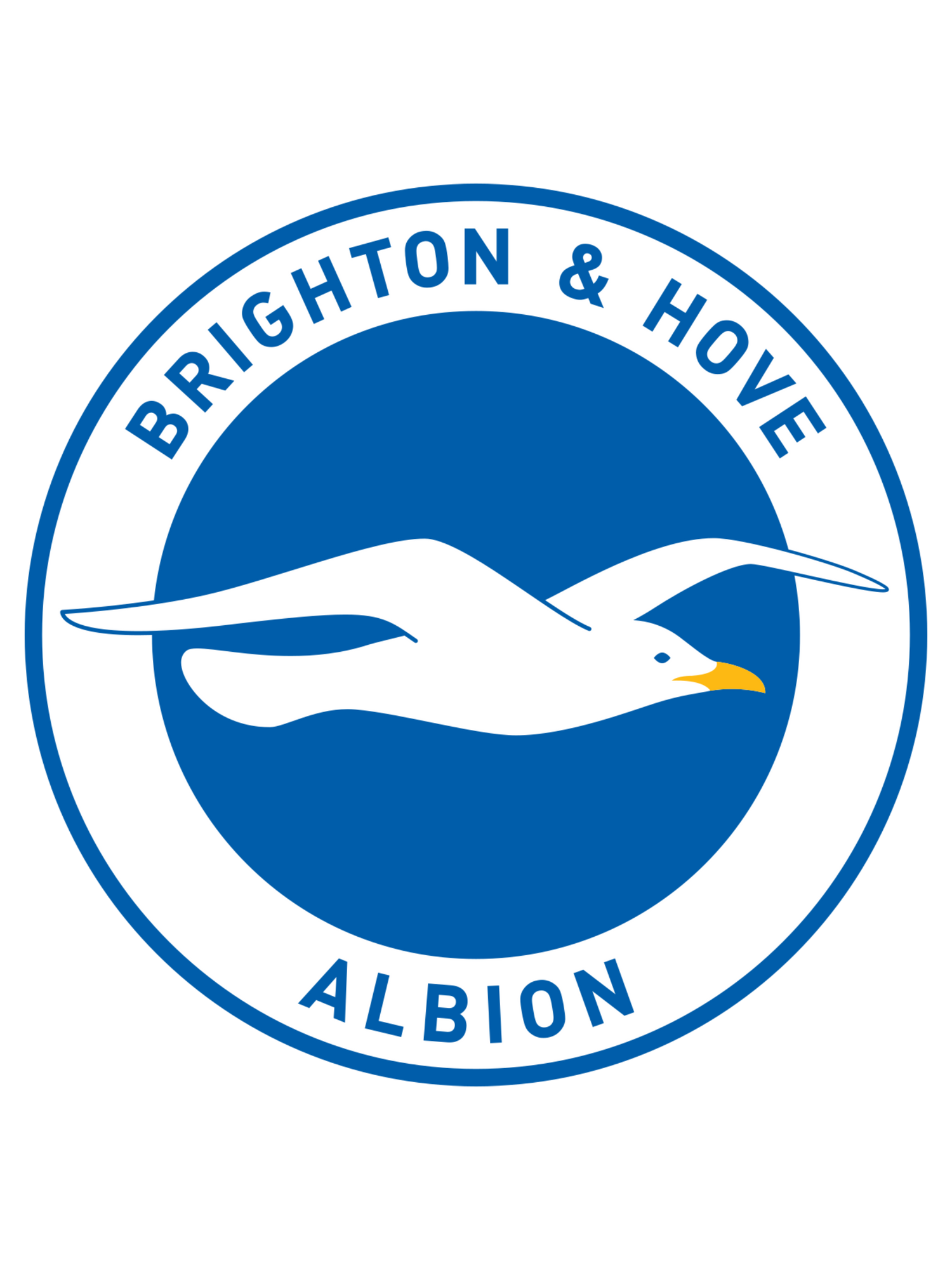 Brighton & Hove Albion FC