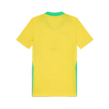 2025 Brazil Home Kit