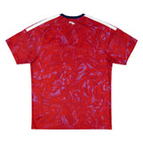 2026 Costa Rica Home Kit ­